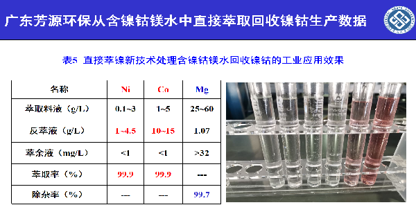 高纯硫酸锰